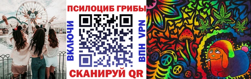 Галлюциногенные грибы ЛСД Михайловка
